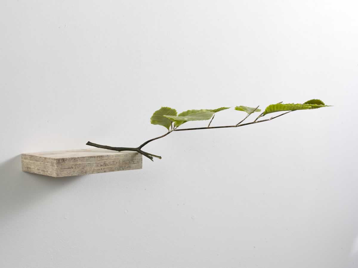 Twig (Blue Ridge Mountains